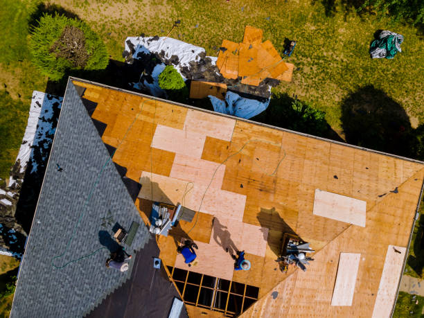 Gutter Installation and Roofing in Point, TX